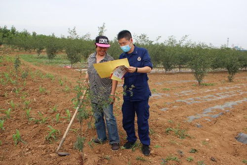 三门峡消防提醒 平安麦收,勿忘防火