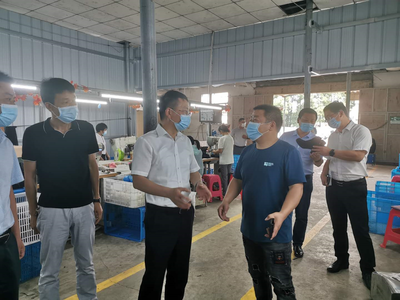 王建华在浮屠调研脱贫攻坚、乡村振兴和巡视反馈问题整改工作