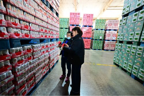 食安在沈北 幸福过大年