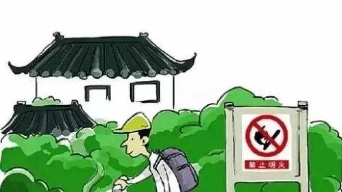 节日旅游消防安全服务指南